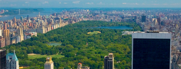 Central Park Photo